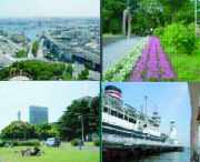 ライブ映像